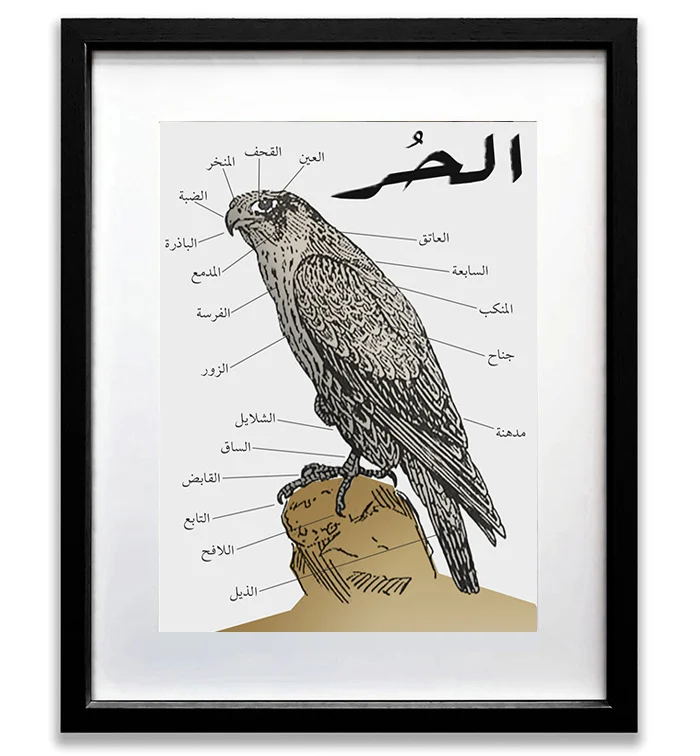 Falcon Poster